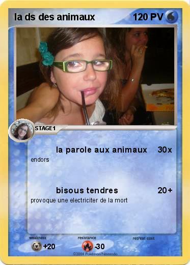 Pokemon la ds des animaux