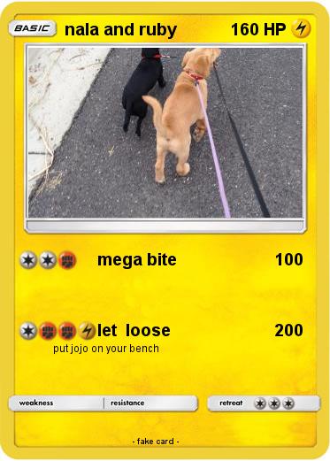 Pokemon nala and ruby