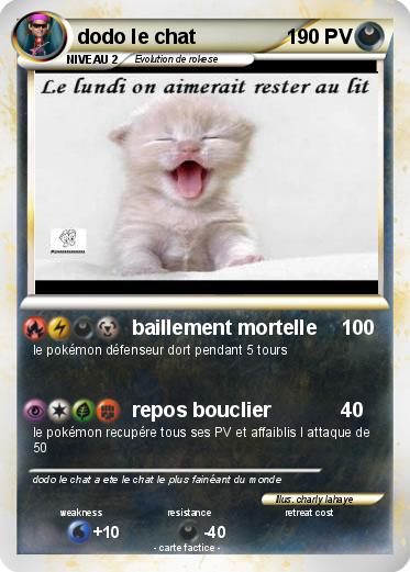 Pokemon dodo le chat