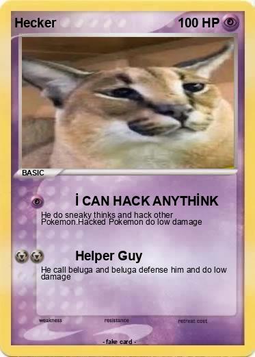 Pokemon Hecker