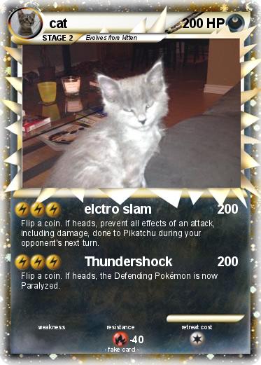 Pokemon cat