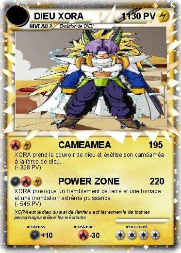 Pokemon DIEU XORA               1