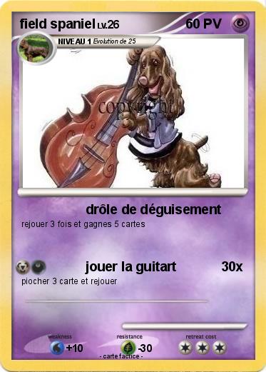 Pokemon field spaniel