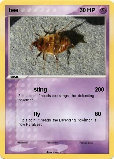 Pokemon bee