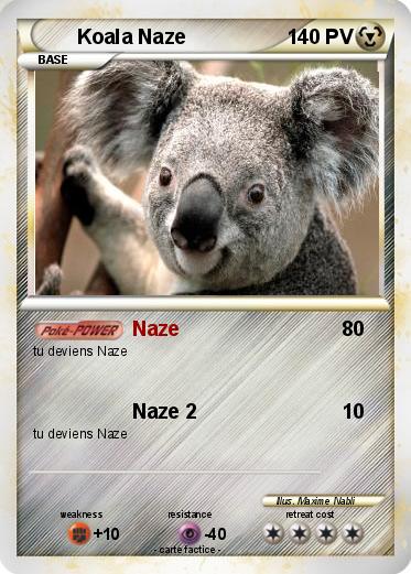 Pokemon Koala Naze