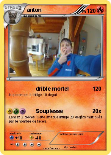 Pokemon anton