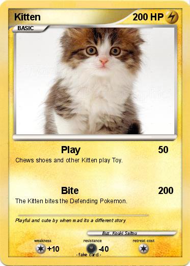 Pokemon Kitten