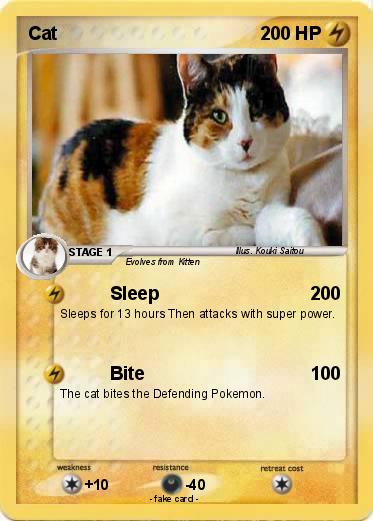 Pokemon Cat