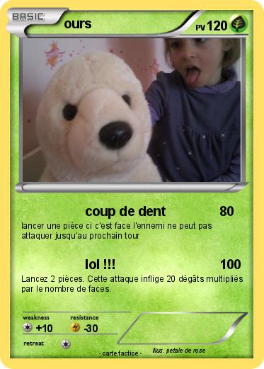 Pokemon ours