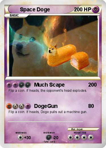 Pokemon Space Doge