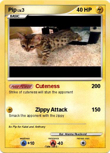 Pokemon Pip