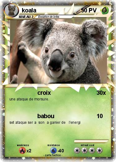 Pokemon koala