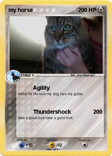 Pokemon my horse