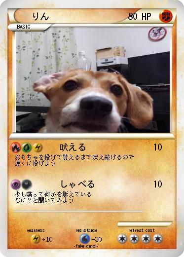 Pokemon りん