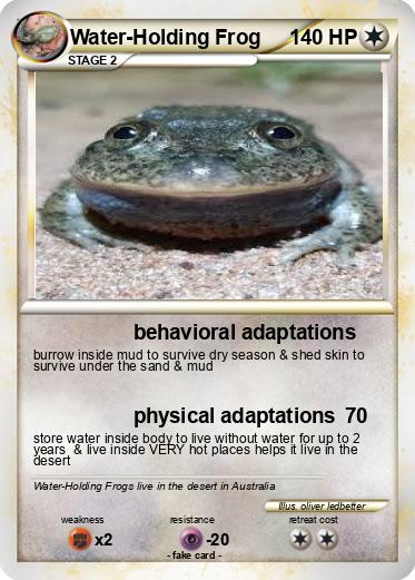 Pokemon Water-Holding Frog