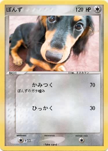 Pokemon ぽんず