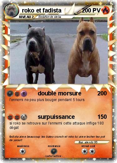 Pokemon roko et fadista