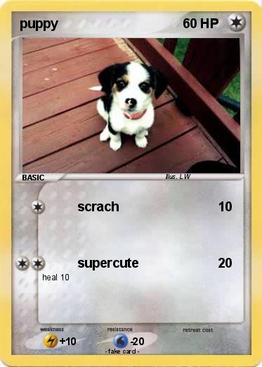 Pokemon puppy