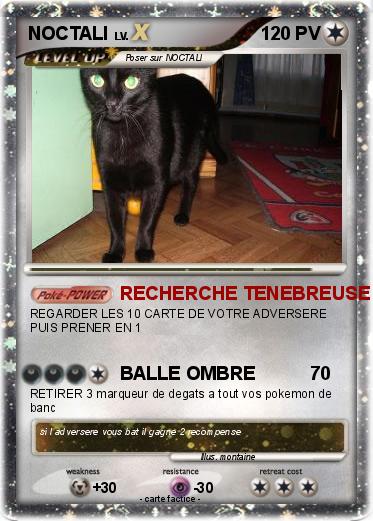 Pokemon NOCTALI