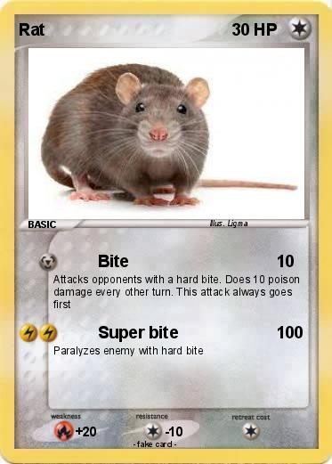 Pokemon Rat