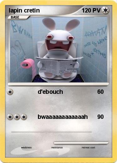 Pokemon lapin cretin