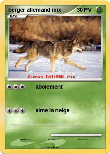 Pokemon berger allemand mix