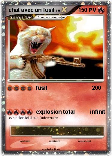 Pokemon chat avec un fusil