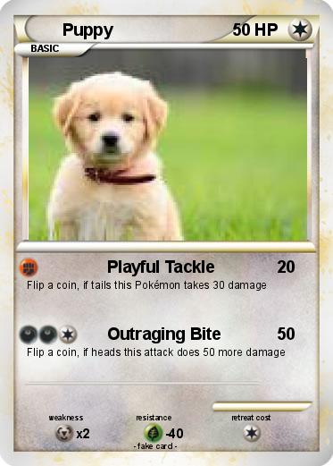 Pokemon Puppy