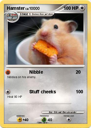 Pokemon Hamster