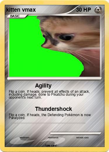 Pokemon kitten vmax
