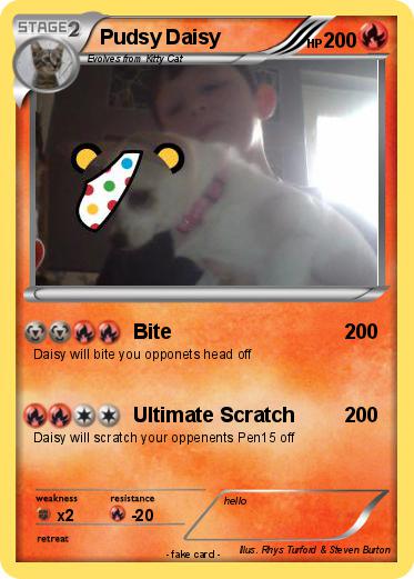 Pokemon Pudsy Daisy