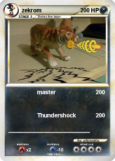 Pokemon zekrom