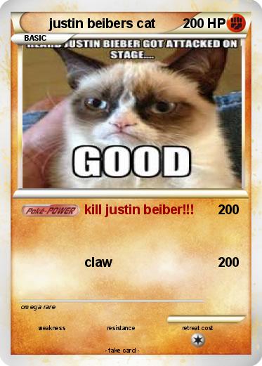 Pokemon justin beibers cat