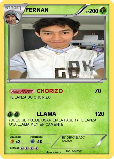 Pokemon FERNAN