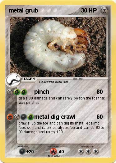 Pokemon metal grub