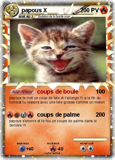 Pokemon papous X