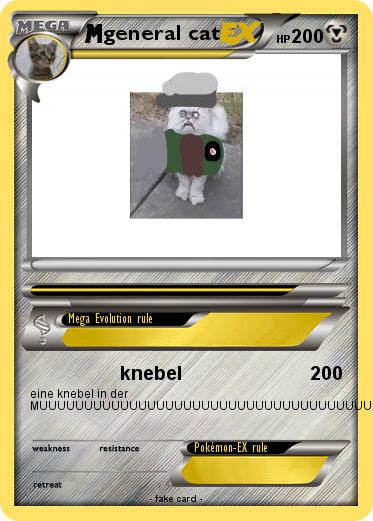 Pokemon general cat