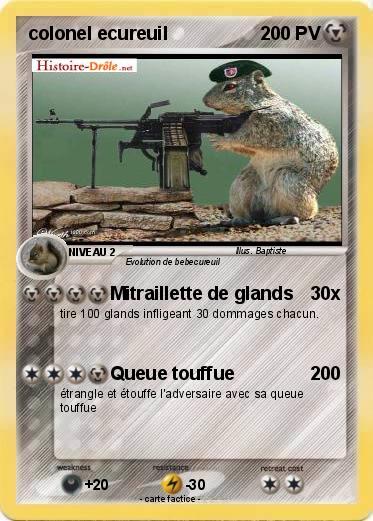 Pokemon colonel ecureuil