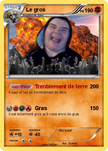 Pokemon Le gros