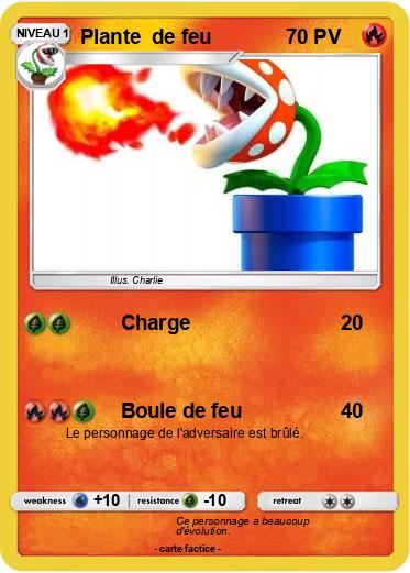 Pokemon Plante  de feu