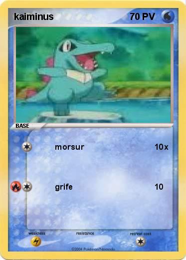 Pokemon kaiminus