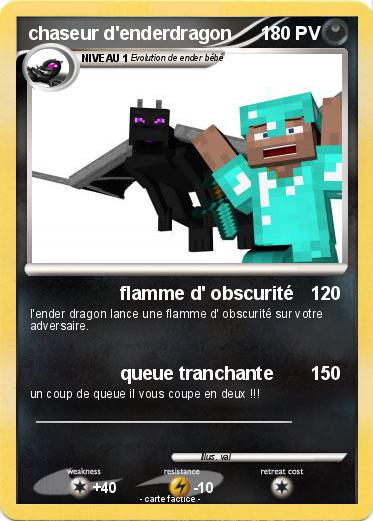 Pokemon chaseur d'enderdragon
