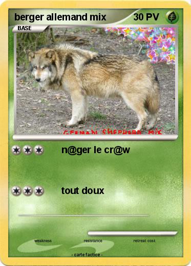 Pokemon berger allemand mix