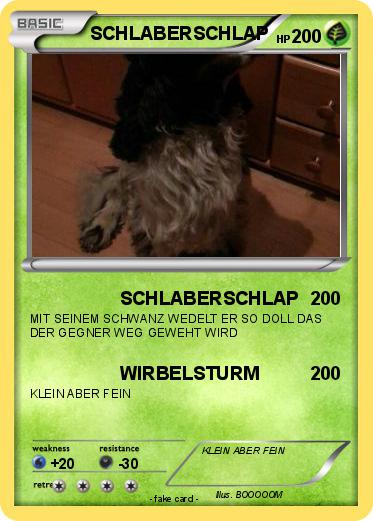 Pokemon SCHLABERSCHLAP