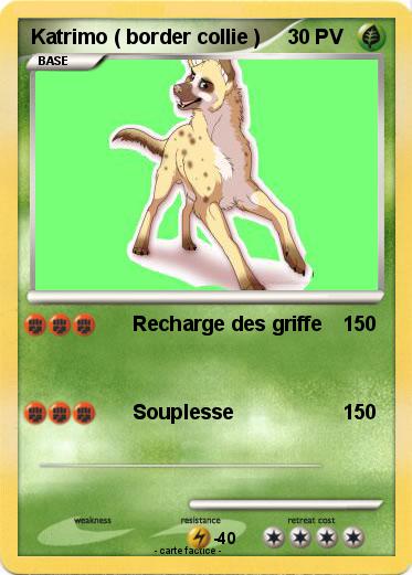 Pokemon Katrimo ( border collie )