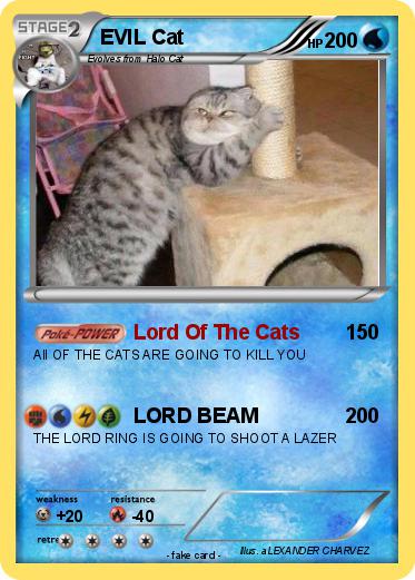 Pokemon EVIL Cat