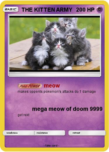 Pokemon THE KITTEN ARMY