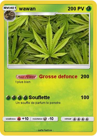 Pokemon wawan
