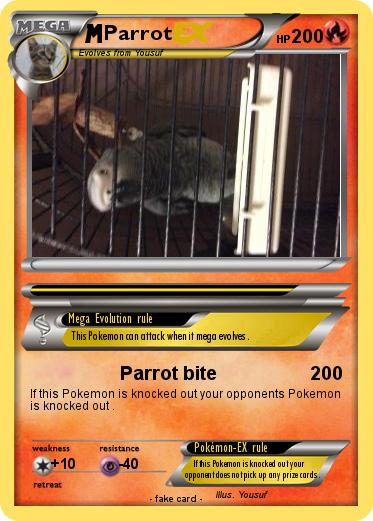 Pokemon Parrot