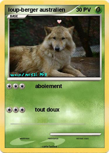 Pokemon loup-berger australien